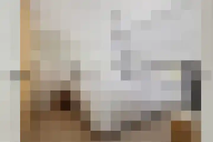 Mimosastraat 1 Breda thumbnail 24