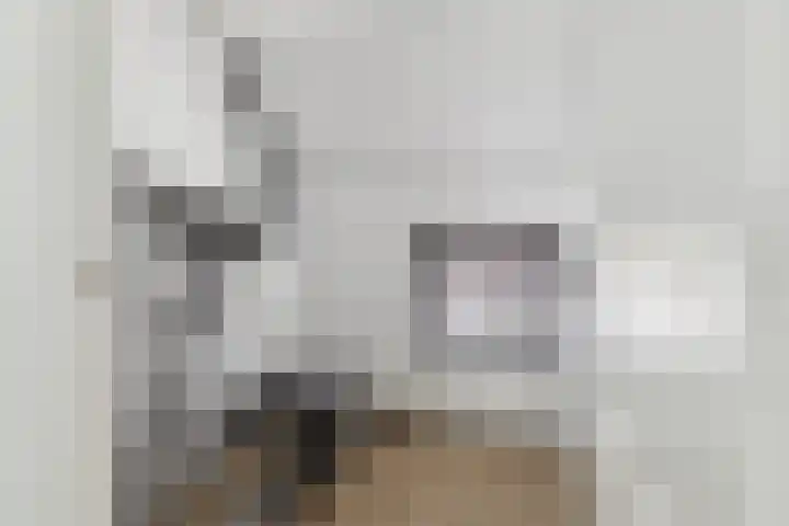 Mimosastraat 1 Breda thumbnail 30