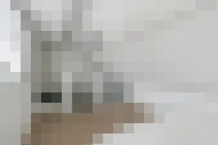 Mimosastraat 1 Breda thumbnail 34
