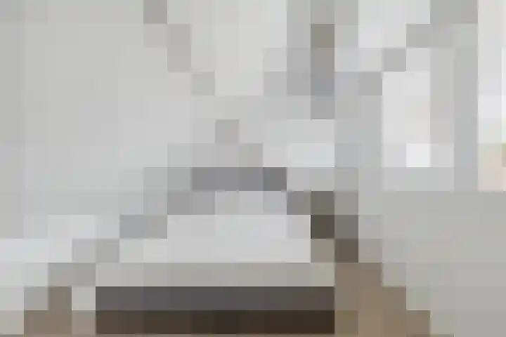 Mimosastraat 1 Breda thumbnail 36