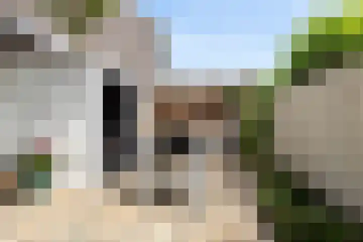 Mimosastraat 1 Breda thumbnail 37