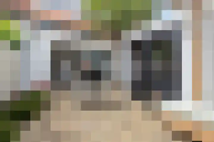 Mimosastraat 1 Breda thumbnail 40