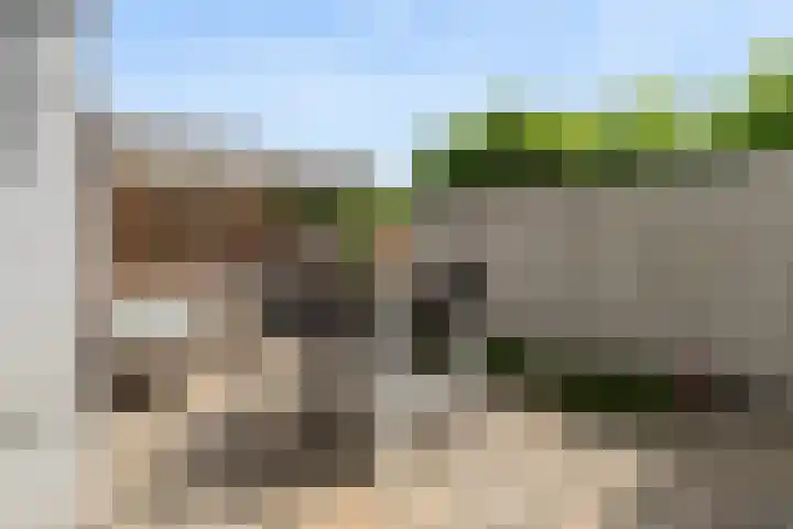 Mimosastraat 1 Breda thumbnail 41