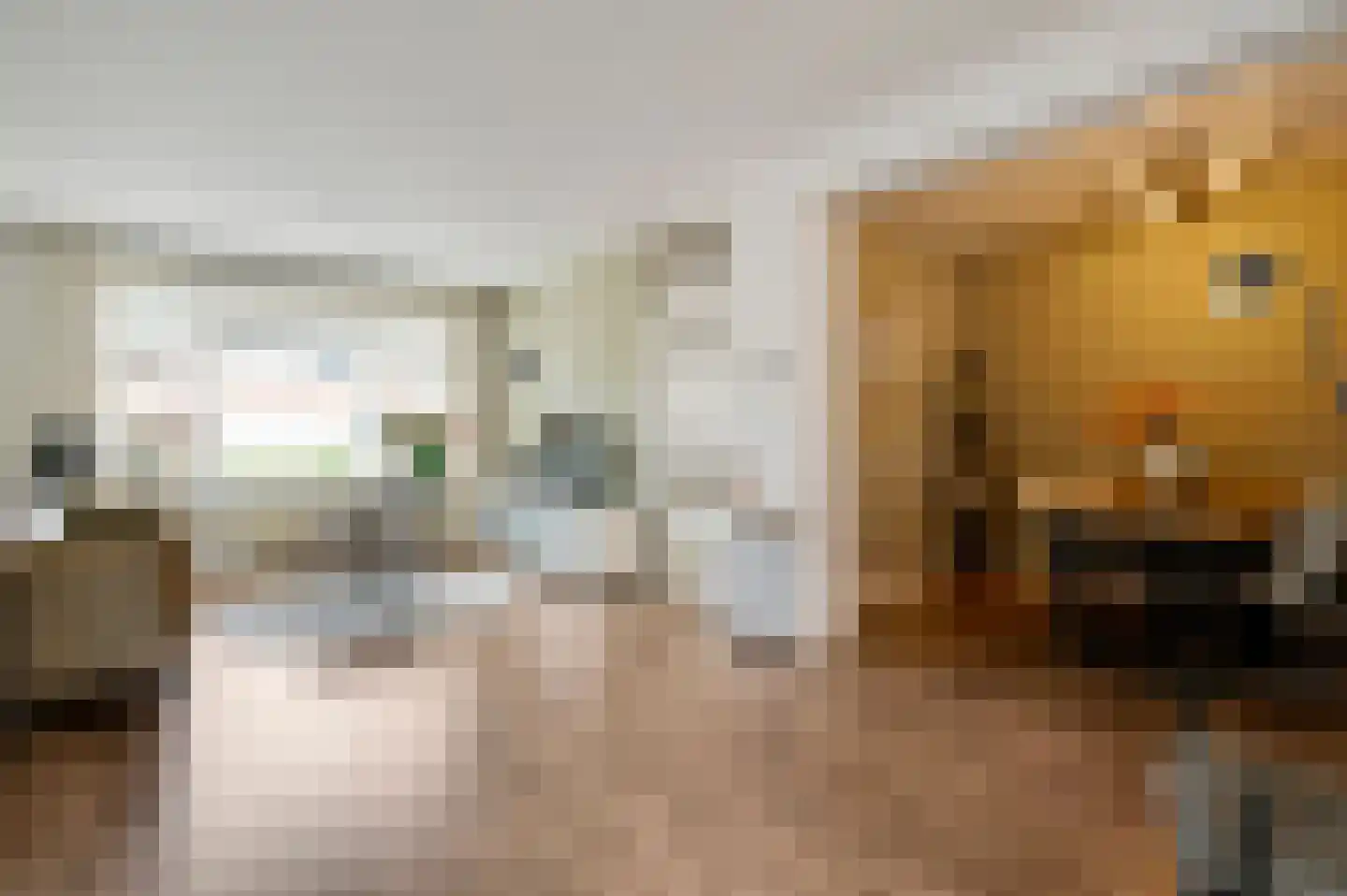 Mimosastraat 11 Maarheeze thumbnail 12