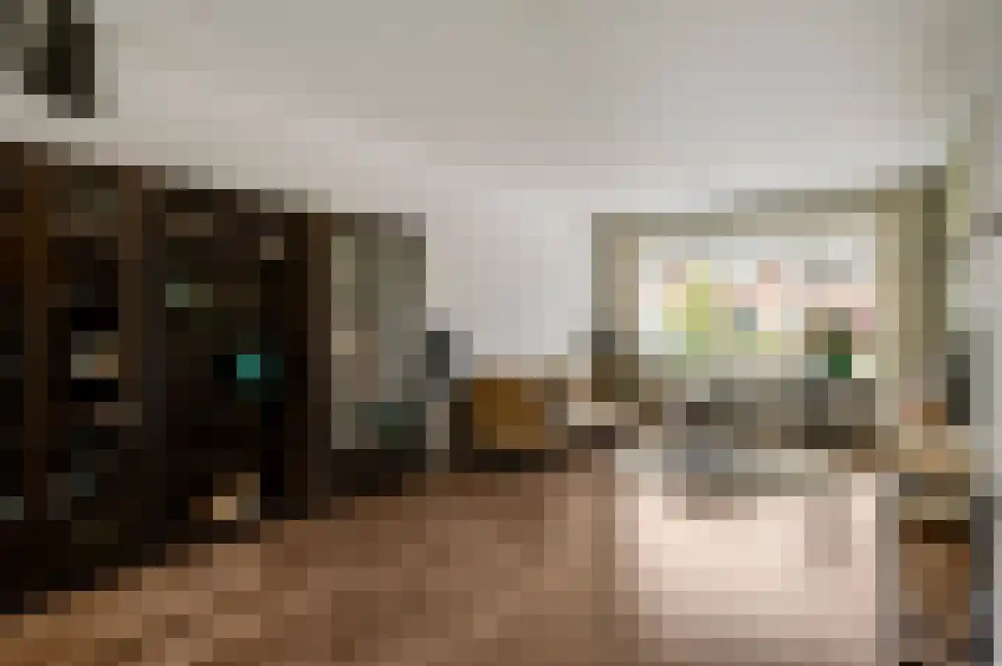 Mimosastraat 11 Maarheeze thumbnail 13
