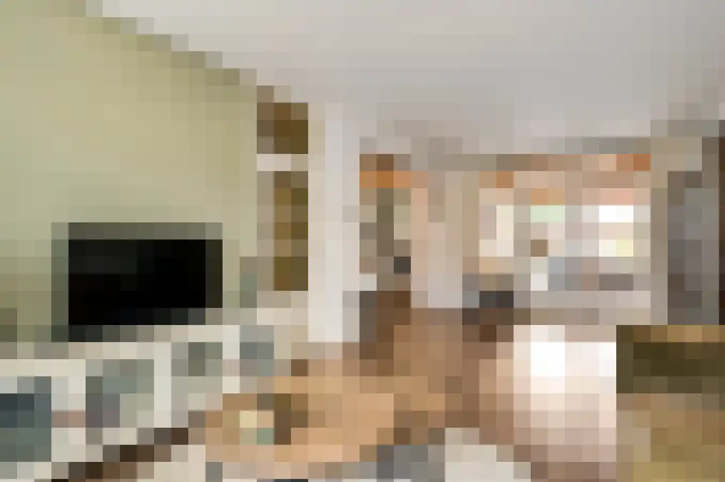 Mimosastraat 11 Maarheeze thumbnail 14
