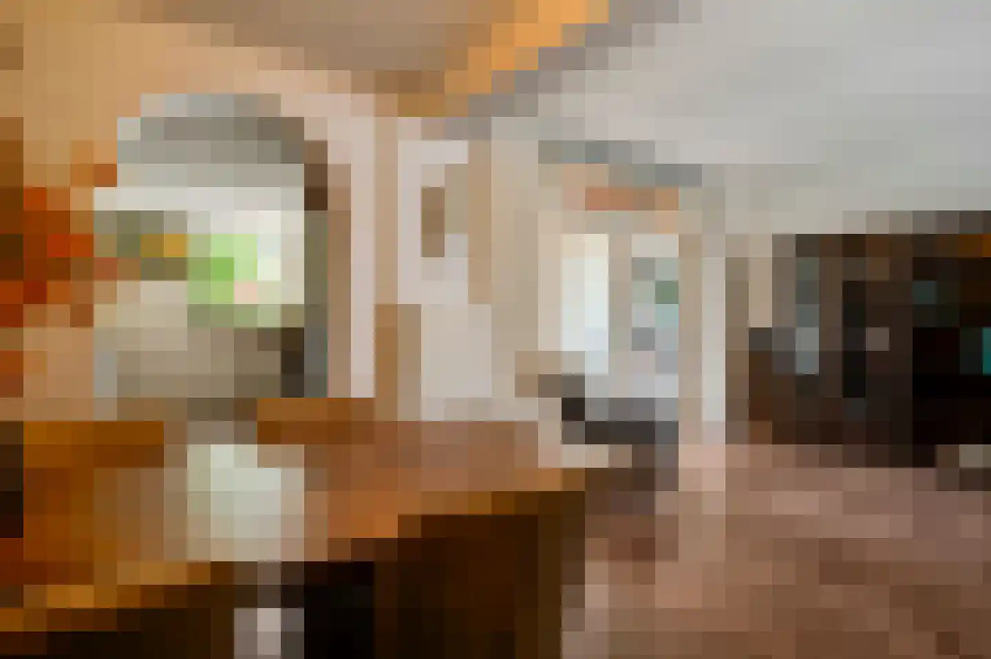 Mimosastraat 11 Maarheeze thumbnail 15