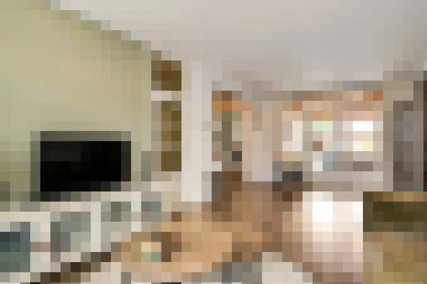 Mimosastraat 11 Maarheeze thumbnail 15