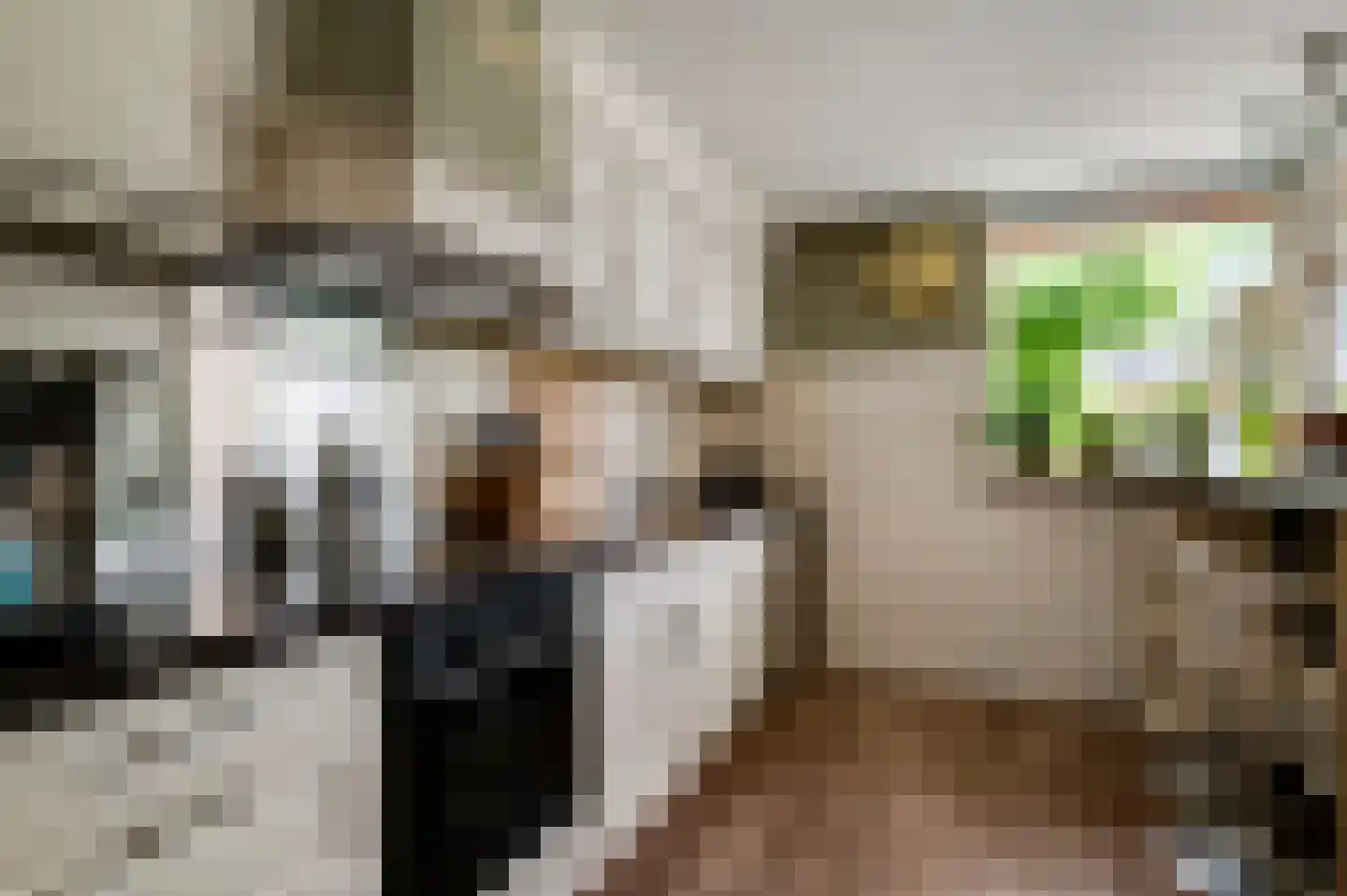 Mimosastraat 11 Maarheeze thumbnail 16