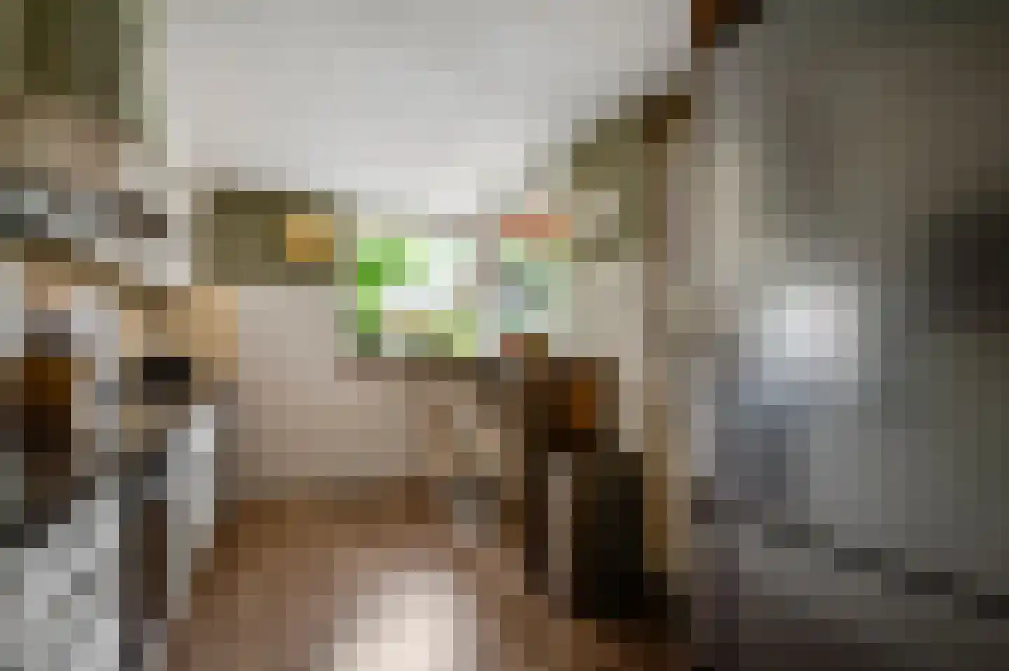 Mimosastraat 11 Maarheeze thumbnail 17