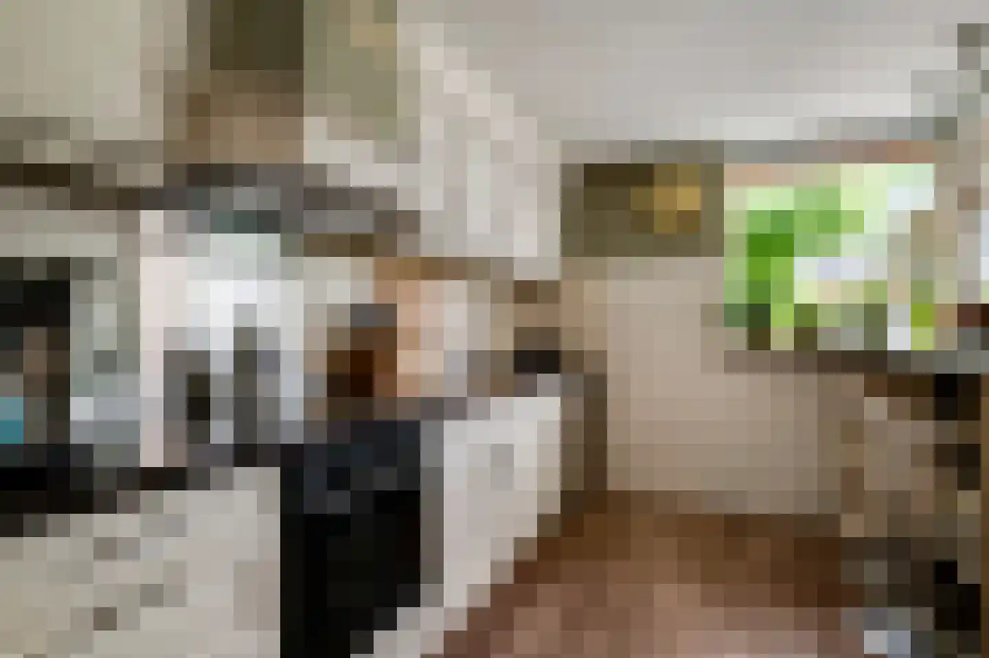 Mimosastraat 11 Maarheeze thumbnail 17