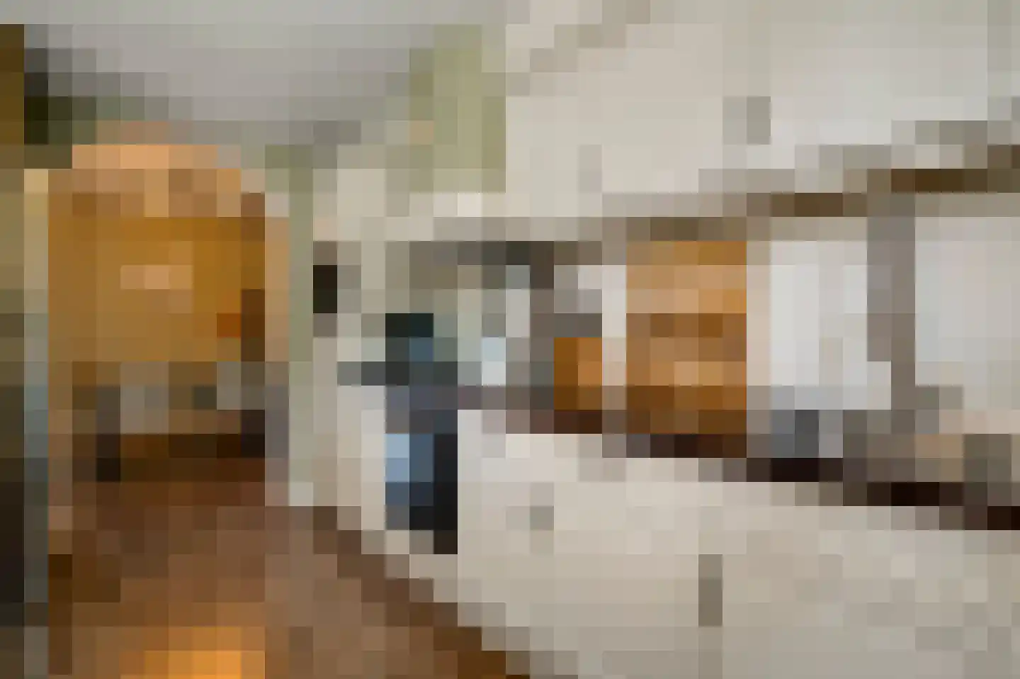 Mimosastraat 11 Maarheeze thumbnail 18