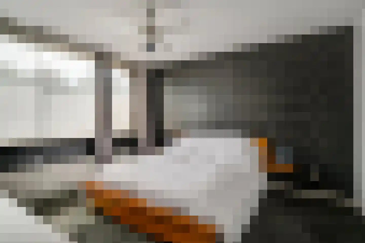 Mimosastraat 11 Maarheeze thumbnail 22