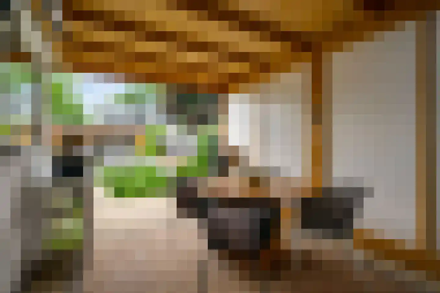 Mimosastraat 11 Maarheeze thumbnail 30