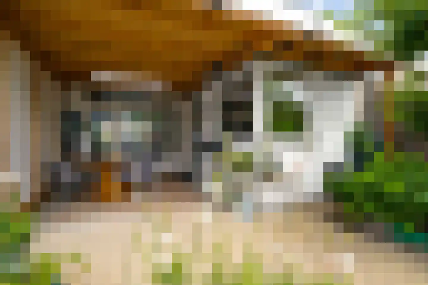 Mimosastraat 11 Maarheeze thumbnail 31
