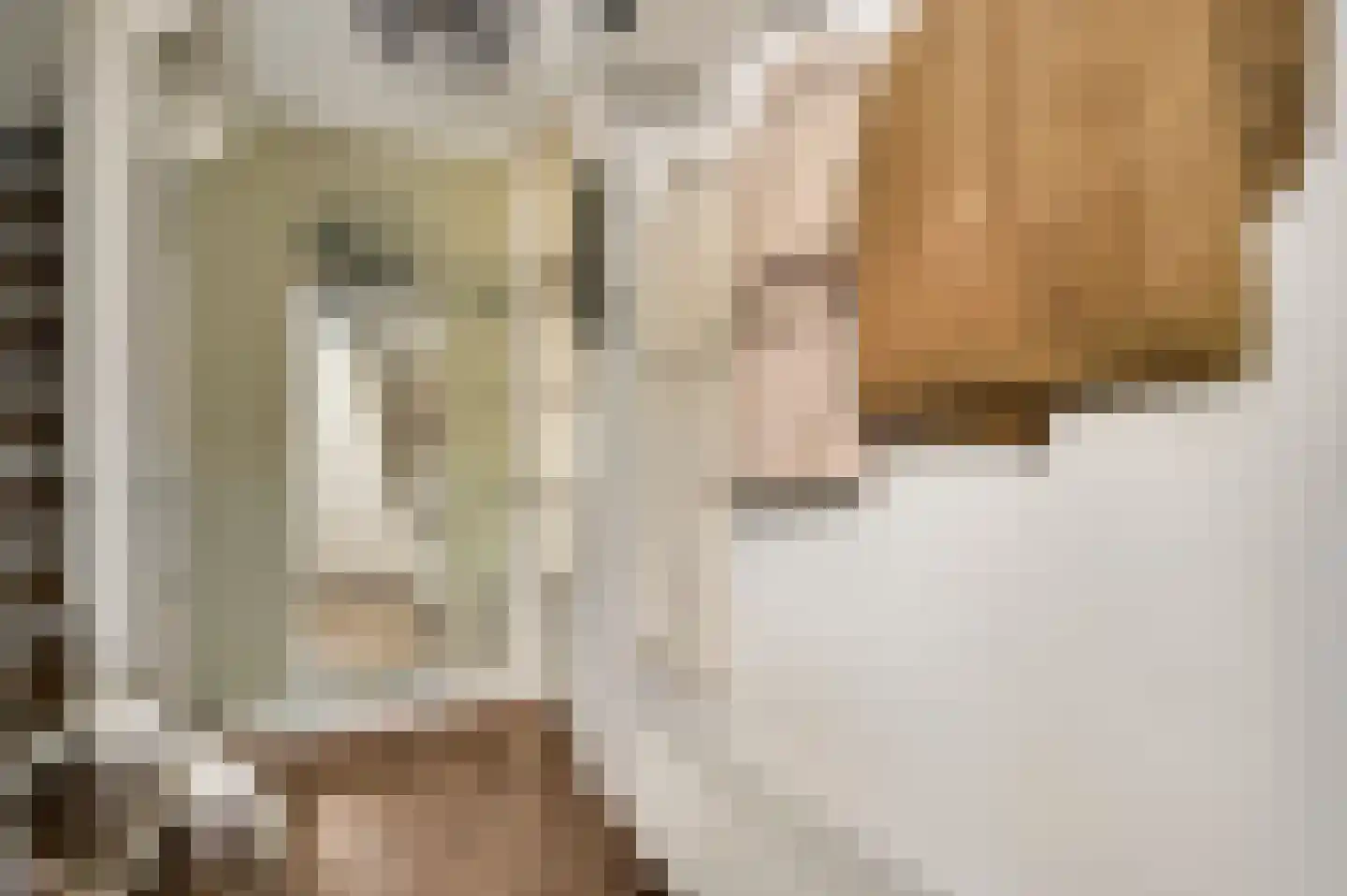 Mimosastraat 11 Maarheeze thumbnail 9