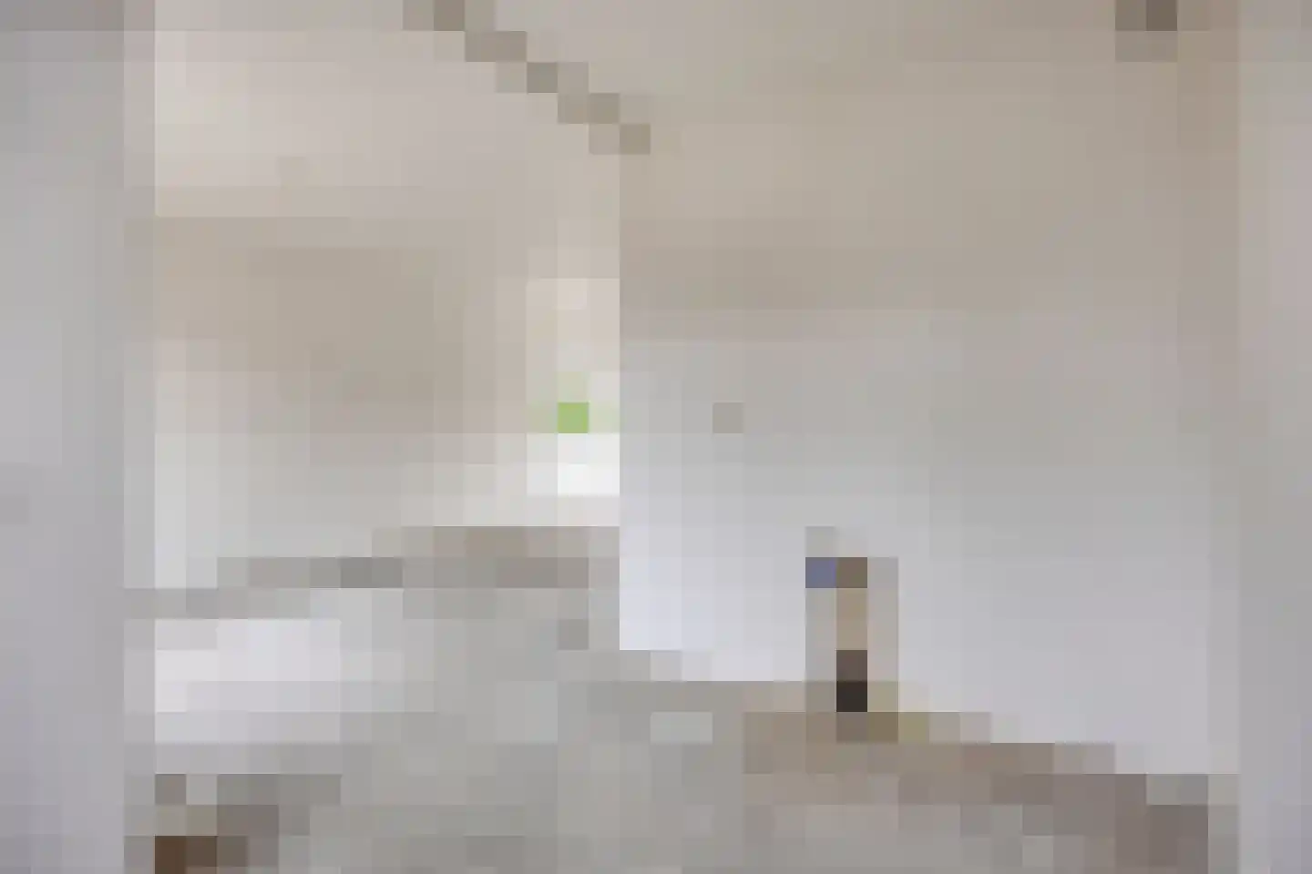 Mimosastraat 11 Roelofarendsveen thumbnail 6