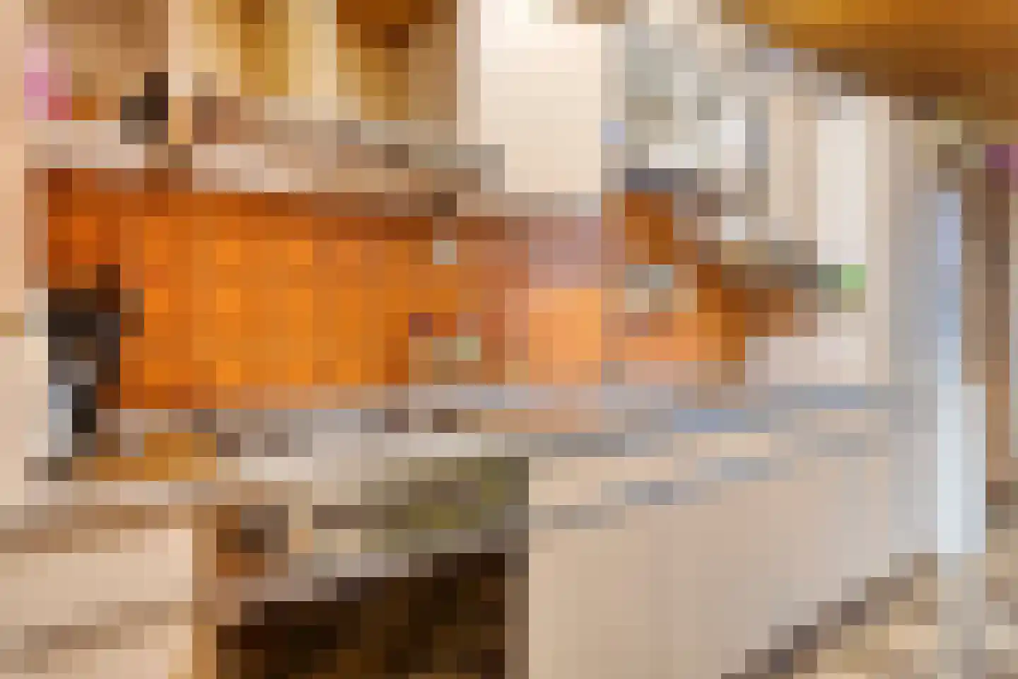 Mimosastraat 14 Bergen op Zoom thumbnail 16