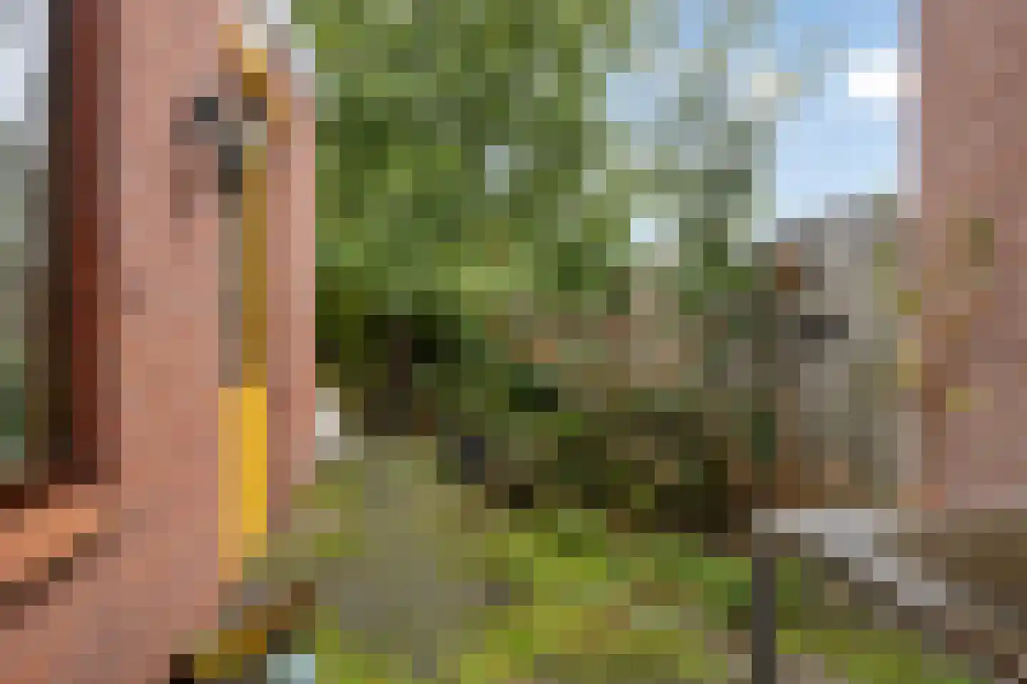 Mimosastraat 14 Bergen op Zoom thumbnail 31