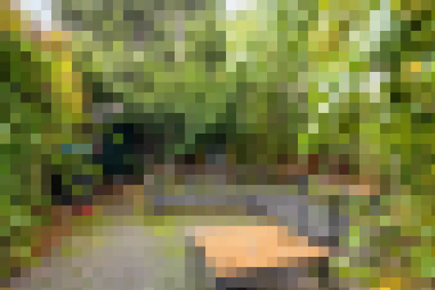 Mimosastraat 14 Bergen op Zoom thumbnail 32