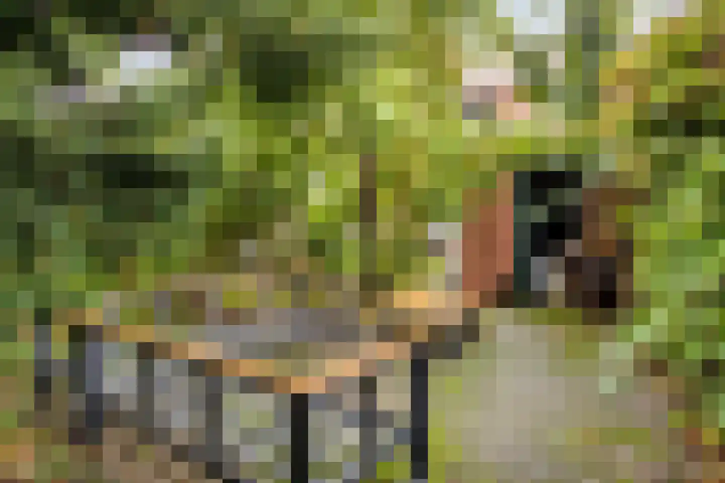 Mimosastraat 14 Bergen op Zoom thumbnail 33
