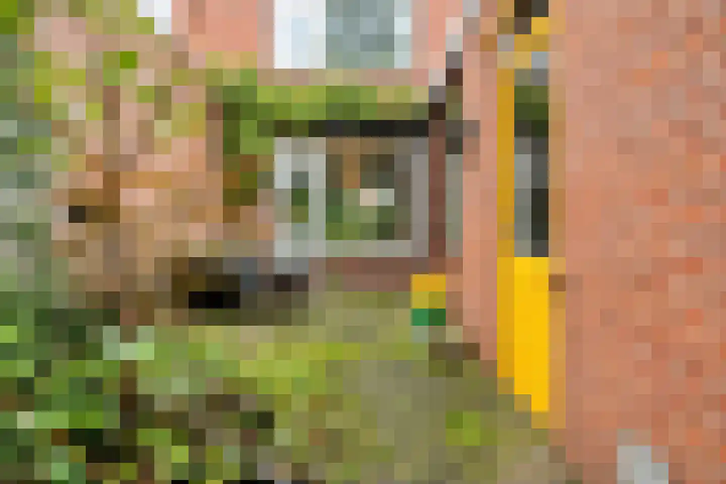 Mimosastraat 14 Bergen op Zoom thumbnail 34