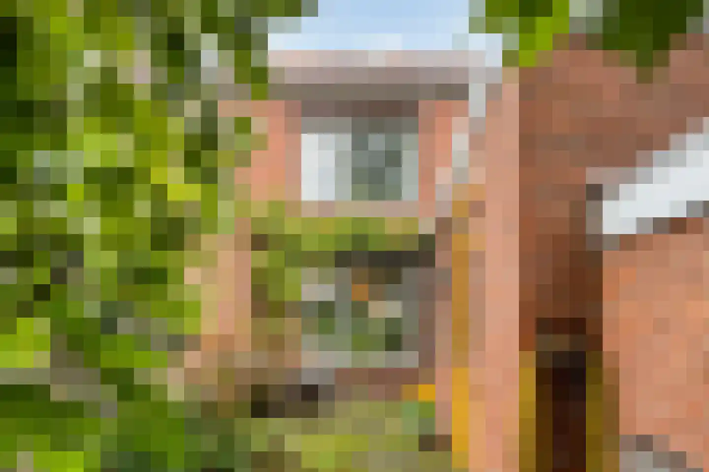 Mimosastraat 14 Bergen op Zoom thumbnail 35