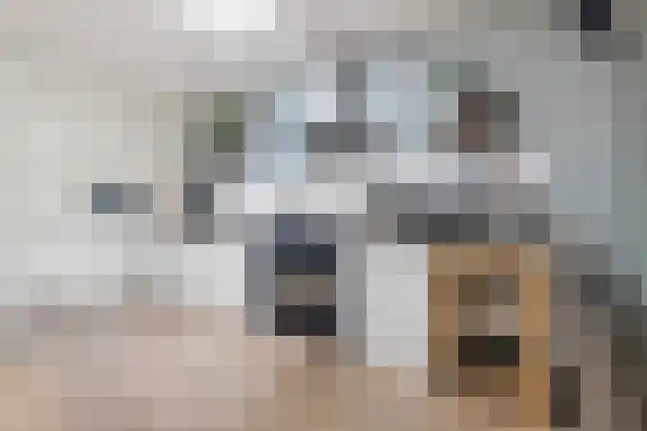 Mimosastraat 14 Breda thumbnail 18
