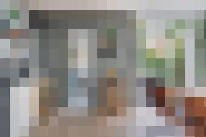 Mimosastraat 14 Breda thumbnail 21
