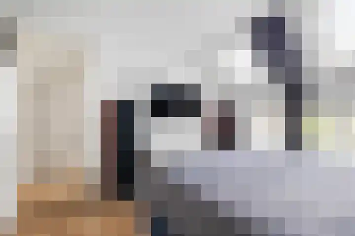 Mimosastraat 14 Breda thumbnail 25