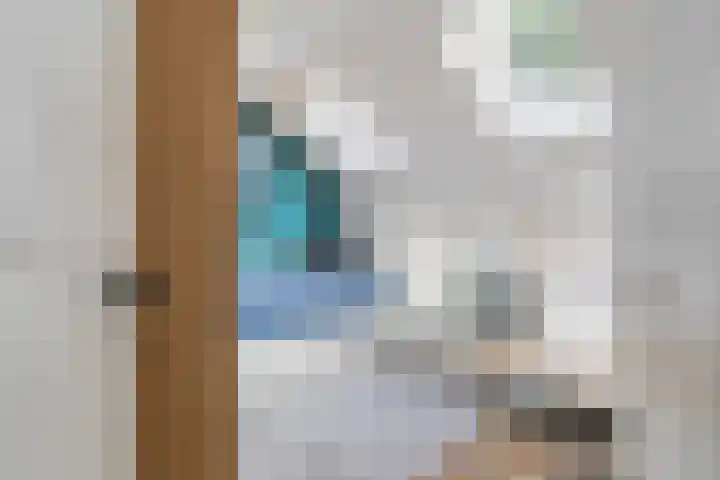 Mimosastraat 14 Breda thumbnail 31