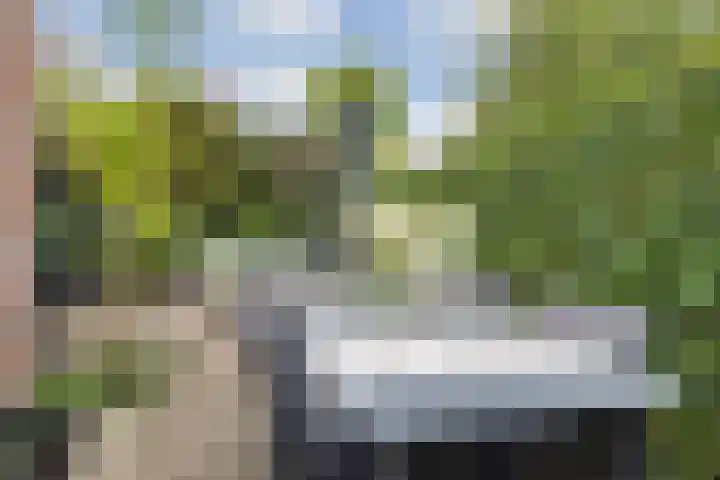 Mimosastraat 14 Breda thumbnail 37