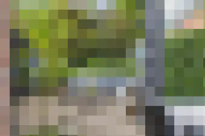Mimosastraat 14 Breda thumbnail 38