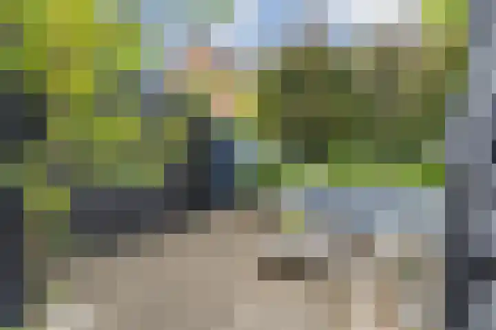 Mimosastraat 14 Breda thumbnail 39