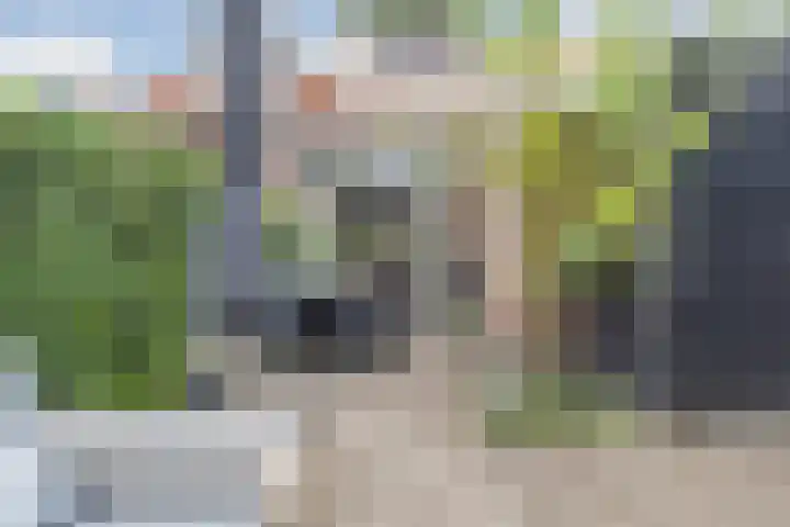 Mimosastraat 14 Breda thumbnail 41