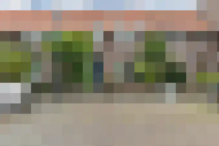 Mimosastraat 14 Breda thumbnail 47