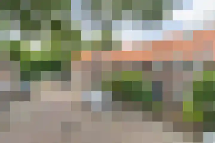 Mimosastraat 14 Breda thumbnail 5