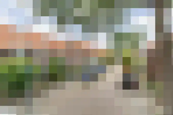 Mimosastraat 14 Breda thumbnail 6