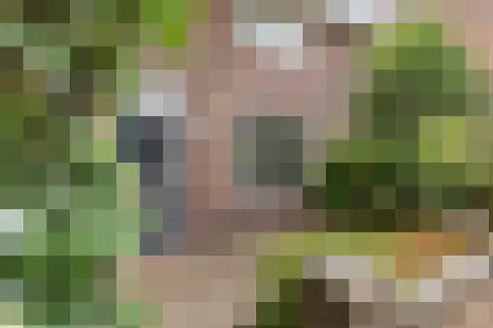 Mimosastraat 14 Breda thumbnail 8