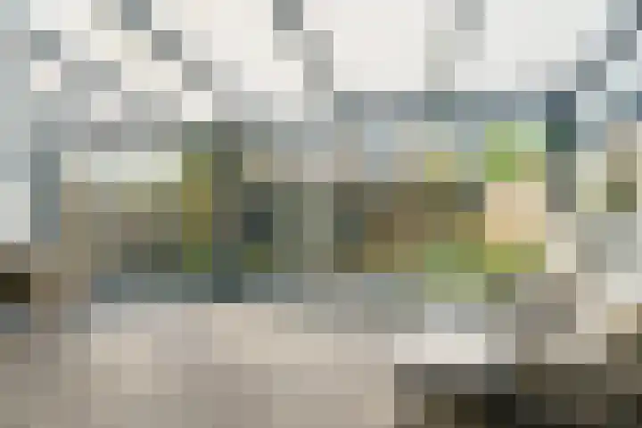 Mimosastraat 17 Almere thumbnail 35