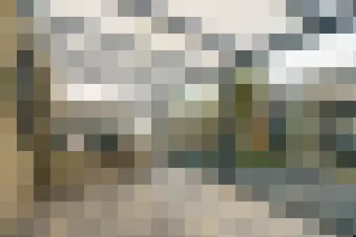 Mimosastraat 17 Almere thumbnail 36