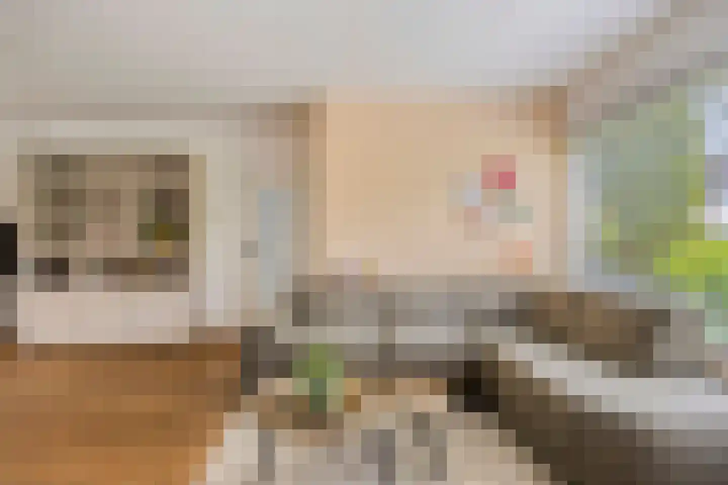 Mimosastraat 2 Maarheeze thumbnail 14