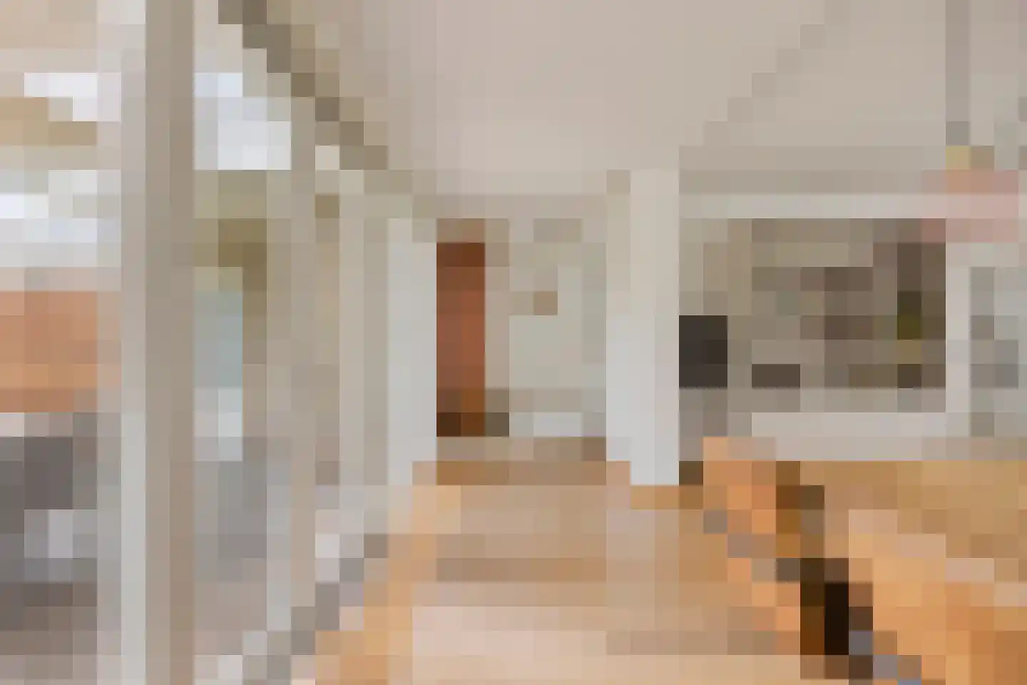 Mimosastraat 2 Maarheeze thumbnail 19
