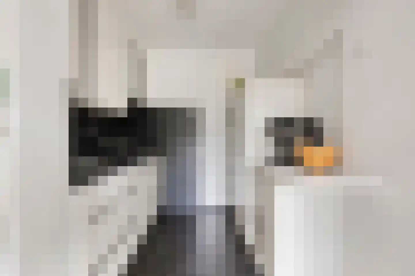 Mimosastraat 2 Maarheeze thumbnail 23