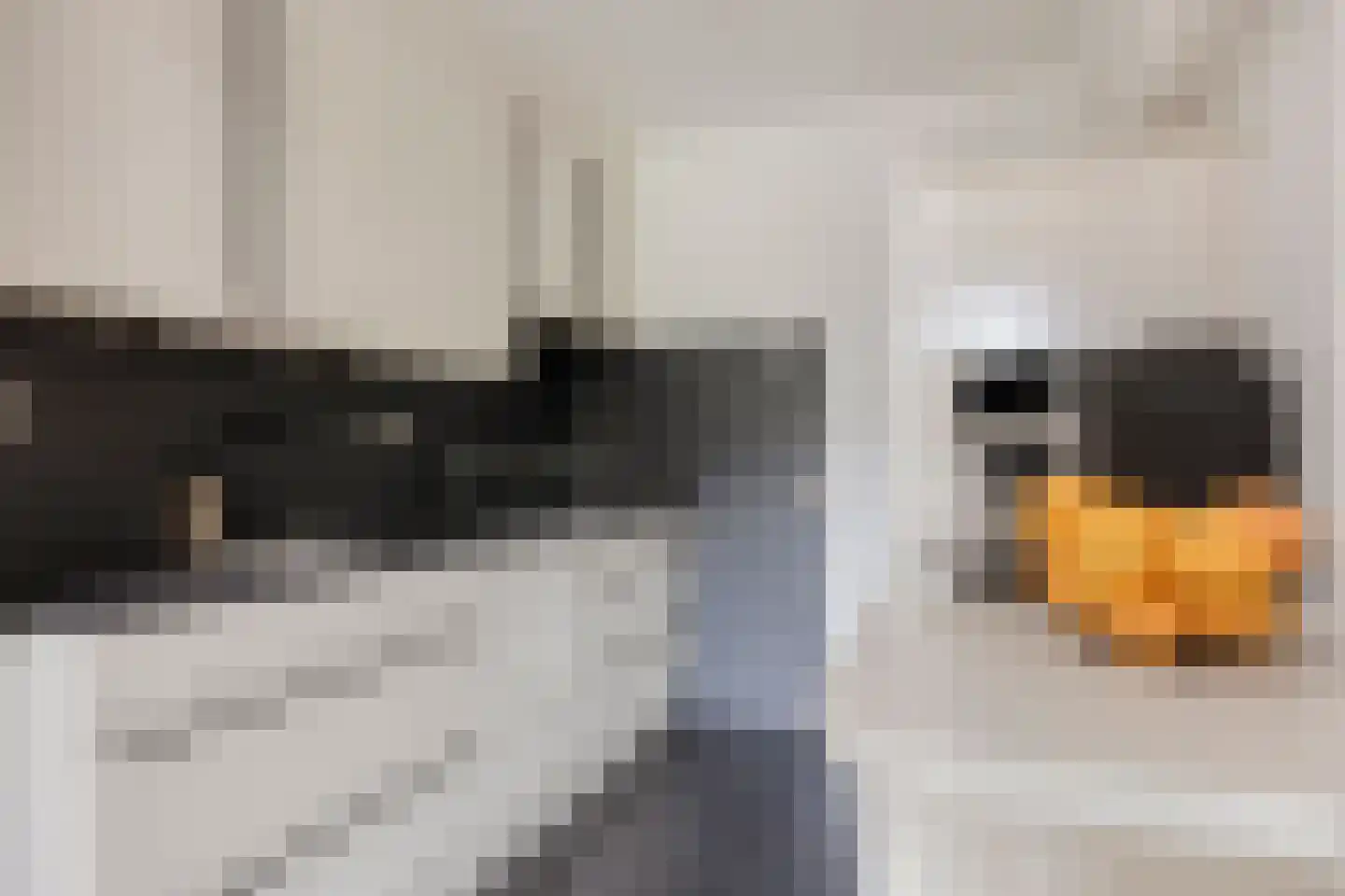 Mimosastraat 2 Maarheeze thumbnail 24
