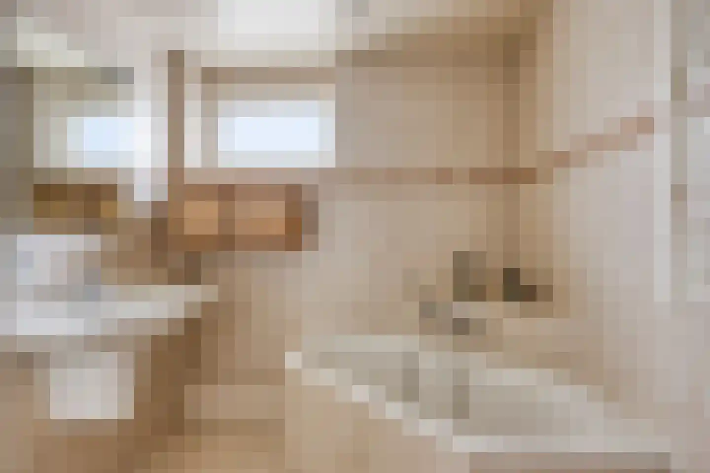 Mimosastraat 2 Maarheeze thumbnail 27