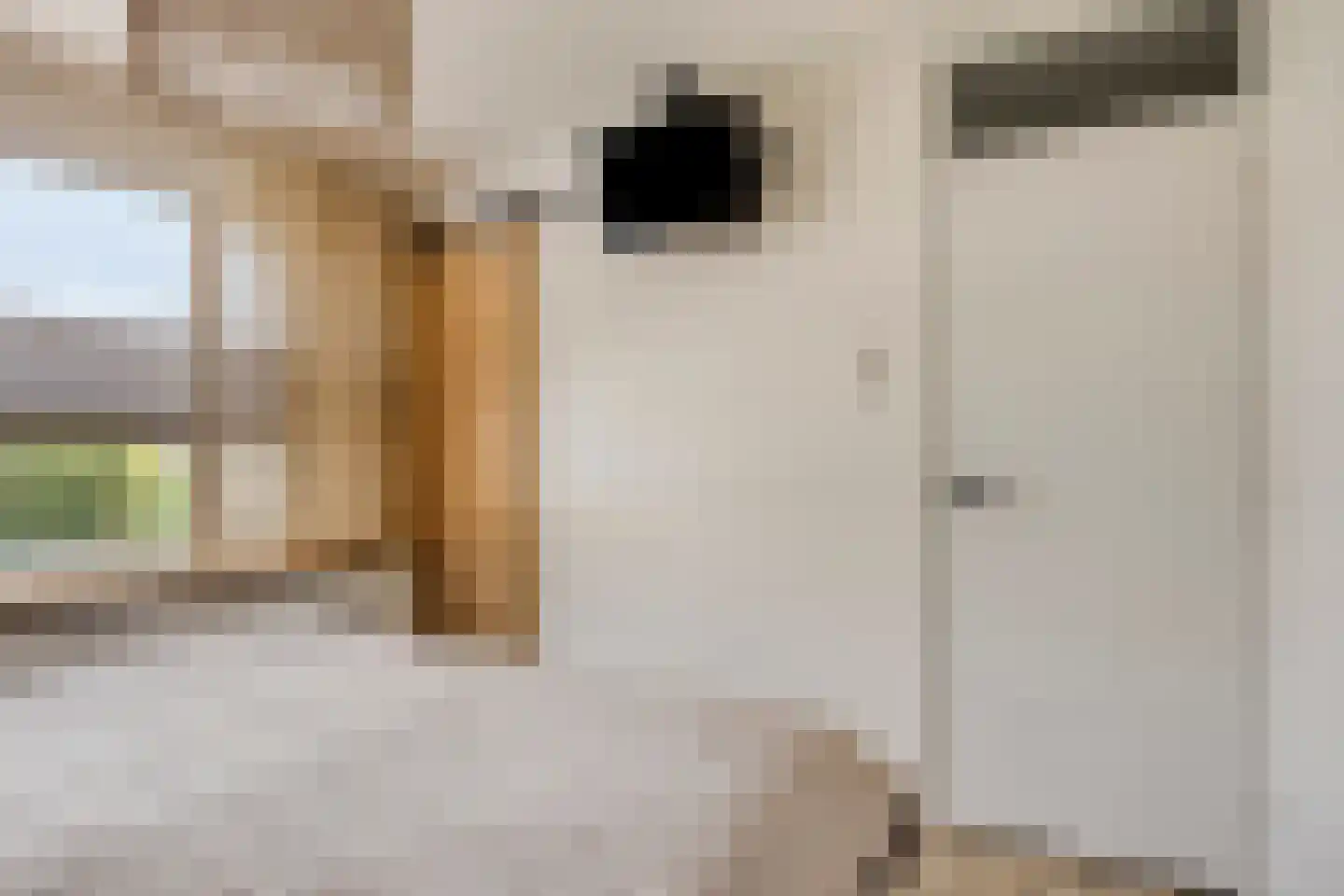 Mimosastraat 2 Maarheeze thumbnail 30