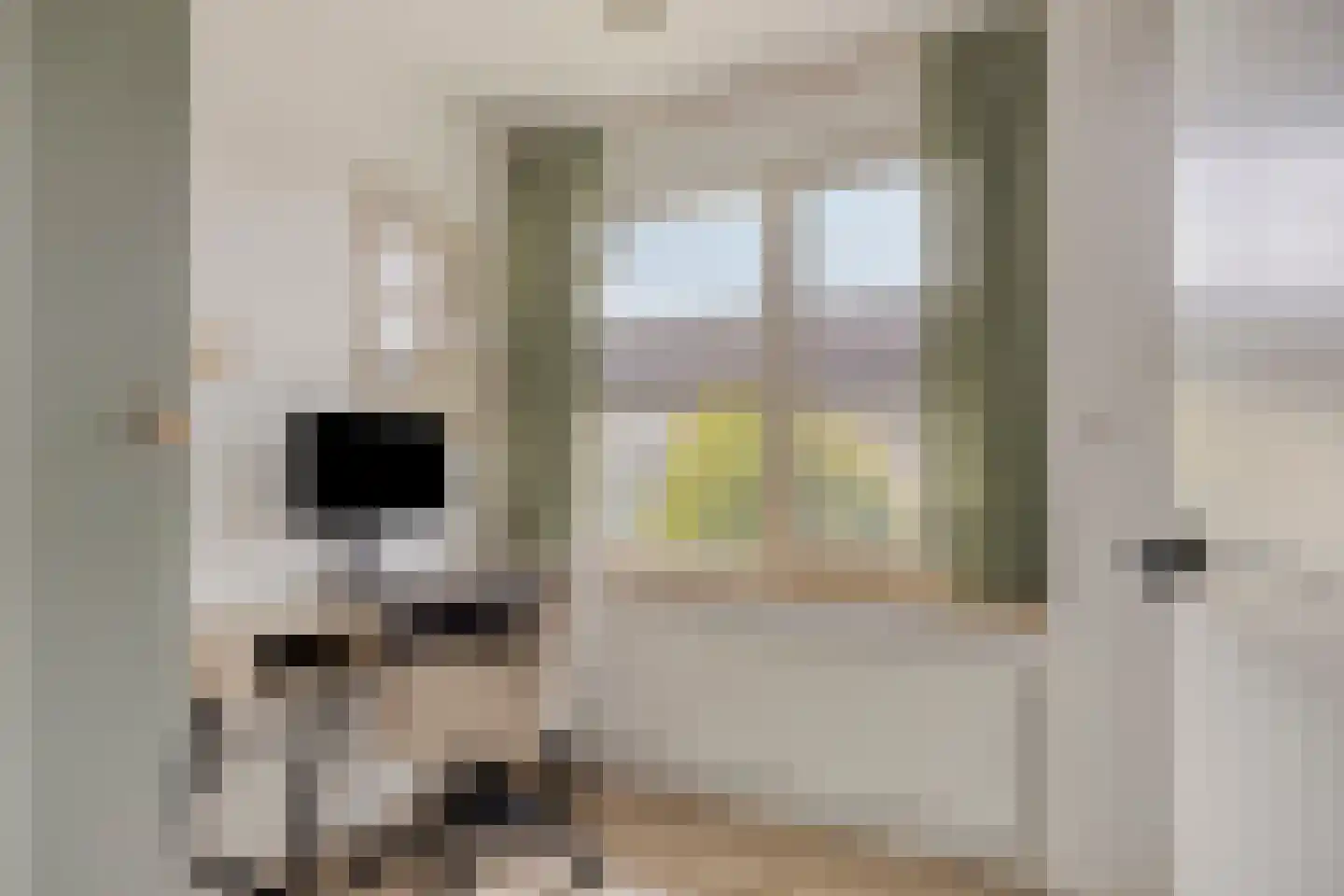 Mimosastraat 2 Maarheeze thumbnail 33
