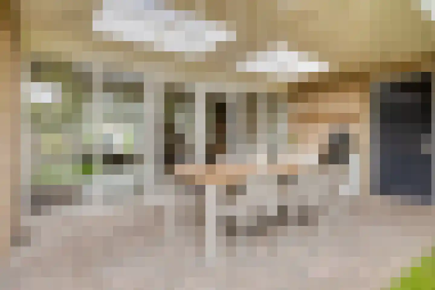 Mimosastraat 2 Maarheeze thumbnail 41