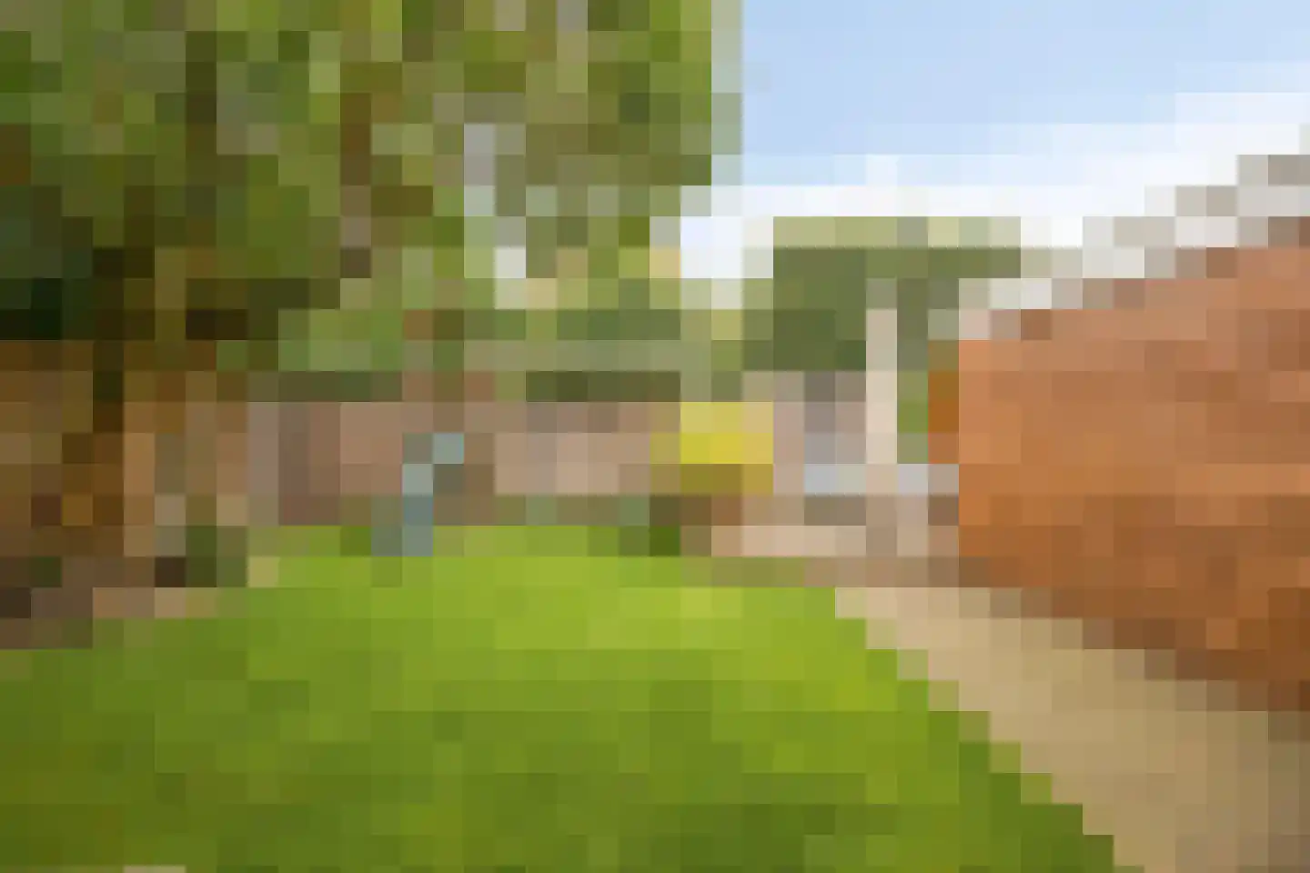 Mimosastraat 2 Maarheeze thumbnail 44